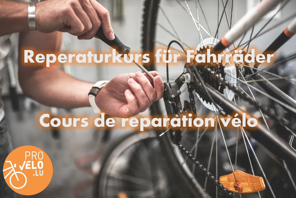 Bicycle Repair Workshop