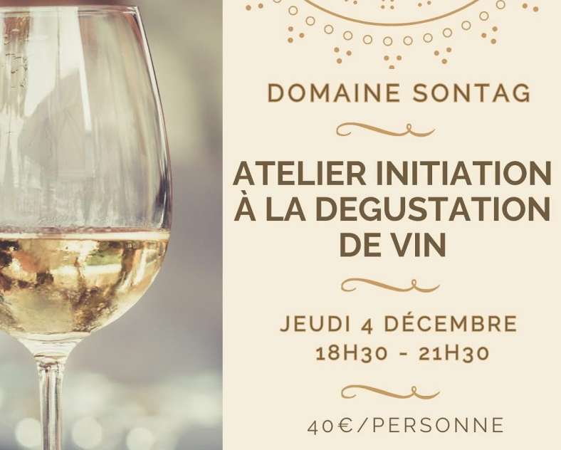 Introductory wine tasting workshop