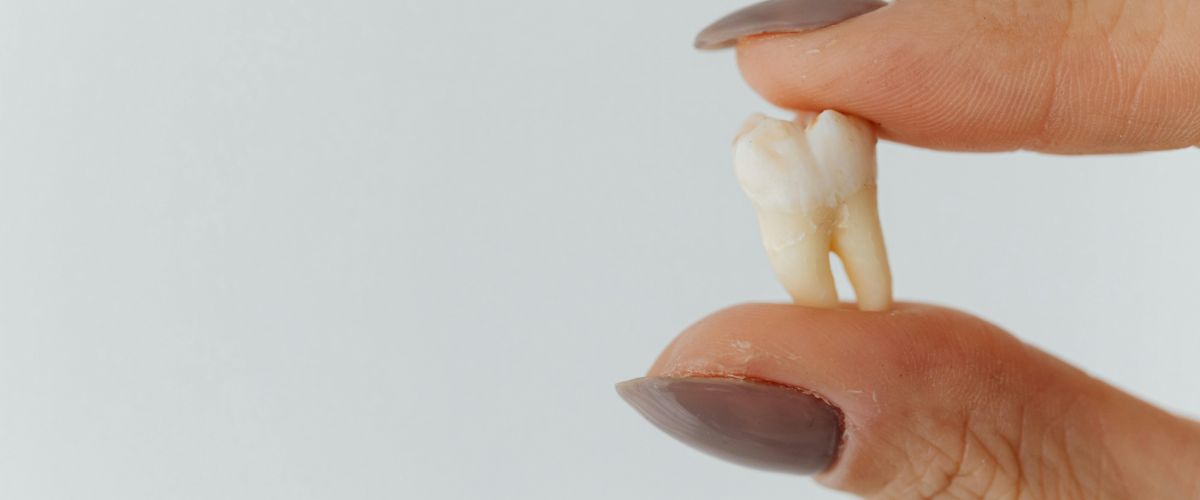 Tuffi-Junior Workshop (4-6), Where is my tooth?