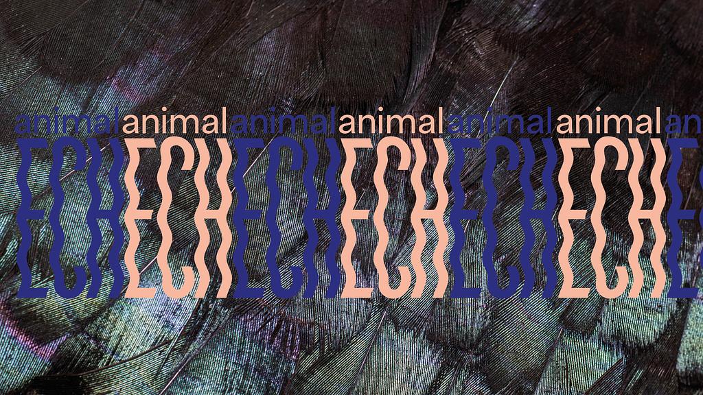 Guided Tours of the Exhibition "animalECH"