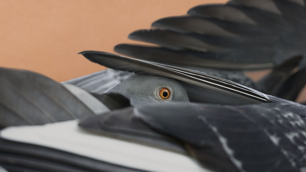 Meet the Artist! Guided Tour with Luisa-Maria Stagno