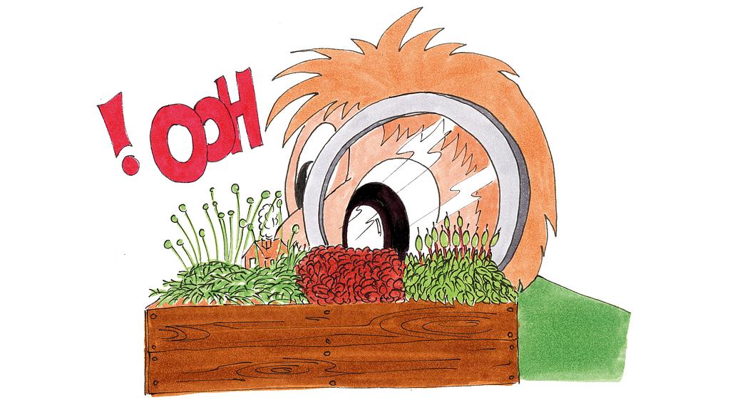 The Eternal Garden 9-10 years old