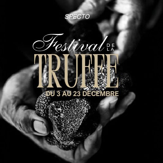 Truffle Festival
