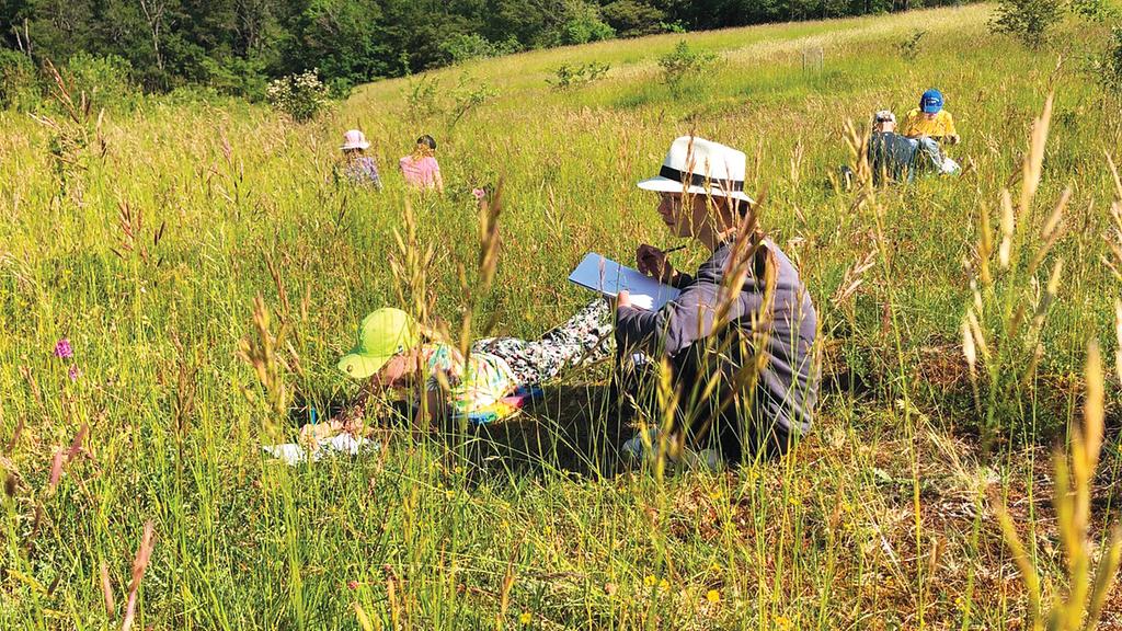 Field Sketching Safari 11-15 years old