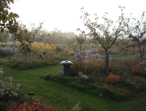Stage Conduite et Taille des Pommiers et Poiriers de Plein Vent