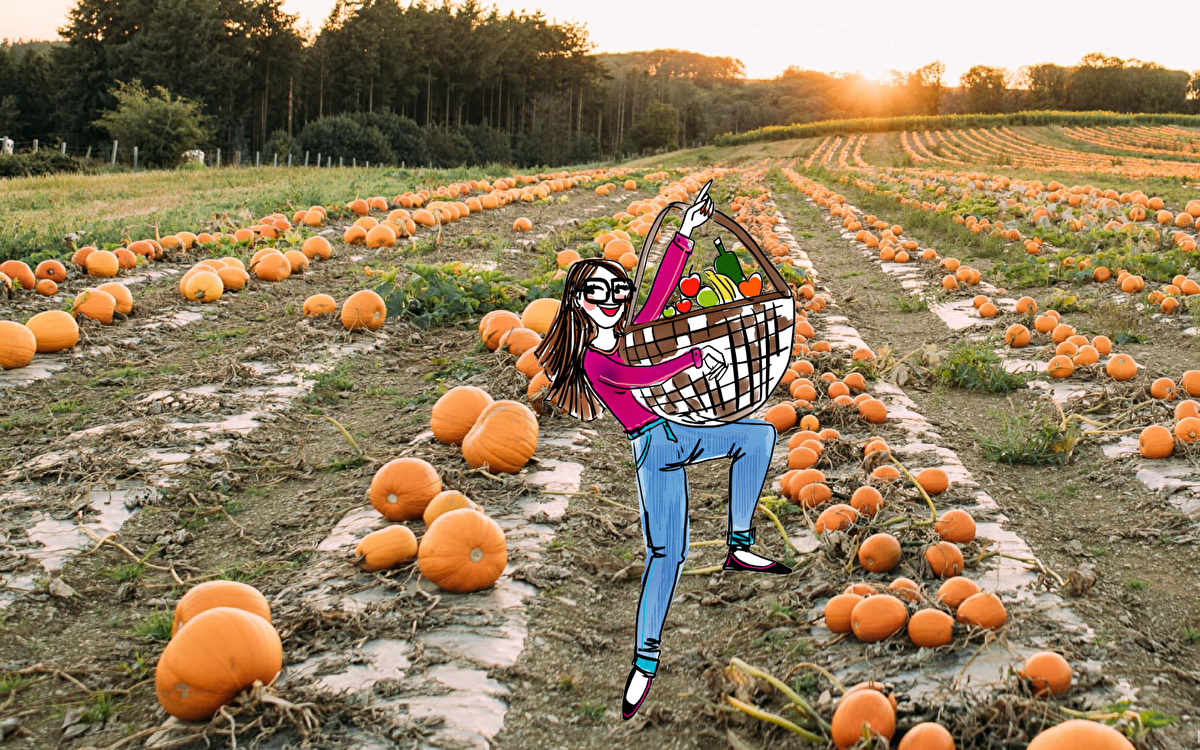 Pumpkin fields and apple picking: our secret spots