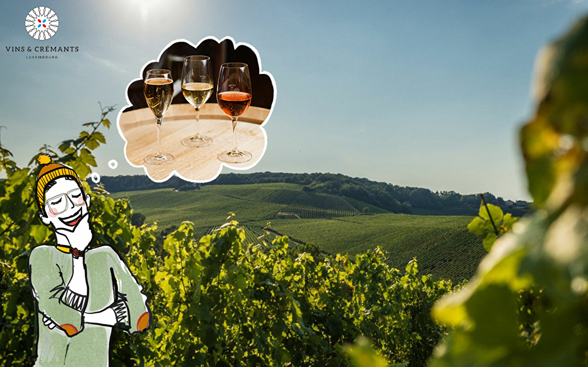 Vins & Crémants : trinquons à cette VINgtième édition