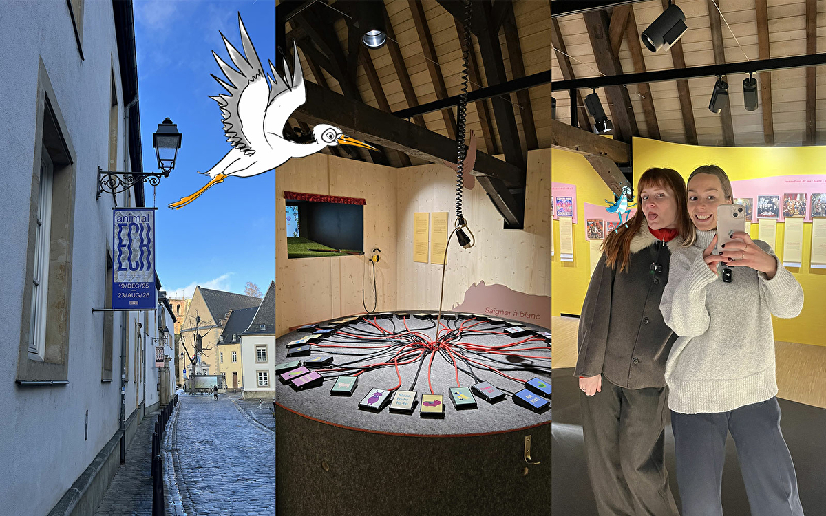 Our new favorite exhibit at the MNHNL